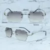 Diamond Cut Solglasögon Panther Limited Stylish Sun Glasses Herr Decoration Carter Luxury Designer Eyewear Silver Frame 0281