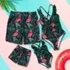 Passende Familien-Outfits, Flamingo-Familien-passende Badeanzüge, Outfits, Mutter-Tochter-Badebekleidung, Mama und ich, Bikini-Kleider, Kleidung, Badeshorts für Papa und Sohn