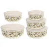 Dinnerware Sets 5 Pcs Bowl With Lids Fruit Bowls Salad Container Soup Storage Large Refrigerator