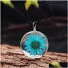 Pendentif Colliers Vente Transparent Fleur Séchée Verre Pendentif Collier En Cuir Pour Les Femmes Fait Avec Amour Rose Bleu Long Cadeau Dhgarden Dhlrg