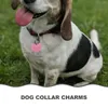 Hundhalsar 10 PCS Tag Charms Collar Valp Taggar Dogs Tabs Identitet Graverade husdjur Namn Cat Brand