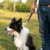 Guinzagli Guinzaglio corto per cani con manico imbottito Guinzagli per animali domestici in vera pelle resistente e resistente per cani da addestramento per cani di taglia medio-grande