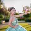 Light Green Shiny Ball Gown Quinceanera Dresses Off The Shoulder Appliques Lace 3DFlower Beads Tull Vestido De 15 Anos Sweet 16