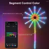 나이트 라이트 스마트 음성 제어 풀 컬러 라이트 불꽃 놀이 램프 방수 USB RGB 네온 끈 야외 정원 침실 장식