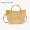 Women Weave le Replay LongChammp Tote Bag Lady Słomka Pochette Pochette Mini Torebka Projektant Luxury Crossbody Sprzęgło męskie Travel Raffia Beach Bags 263