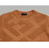 New AOP jacquard letter knitted sweater in autumn / winter 2024acquard knitting machine e Custom jnlarged detail crew neck cotton f5644