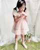 Платья для девочек Розовое платье с вышивкой из органзы для девочек Лето с рукавами-лепестками для девочек