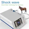 Onda de choque para cavalo Extracorpórea Veterinária Terapia por Ondas de Choque Alívio da Dor em Hipódromo Uso Profissional Máquina de Fisioterapia por Ondas de Choque