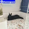 Burar kaningolvmatta husdjur soffa kudde träning pad guinea gris matta lapin bur mat katt hund sovande filt staket pad bunny leveranser