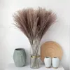 20 Stuks45cm Natuurlijke Lisdodde Wit Gras Gedroogde Bloemen Eternell Boeddha Stof Pampas Riet Bruiloft Woondecoratie Accessoires 240223