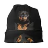 Beralar Sokak Giyim Kış Sıcak Kadın Erkekler Örme Şapka Yetişkin Unisex Rottweiler Kafa Beanies Caps Cep Köpek Rolover Bonnet Şapkaları