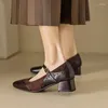 Dress Shoes 2024 Spring Mary Janes Women Square Toe Chunky Heel Pumps Sheep Suede Leather For Elegant Med Heels Buckle