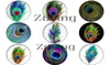 Zdying Whole 1825mm Oval Shape Glass Cabochon Peacock Feather Dome Beads DIY Jewelry Making Findings 10pcslot9781436