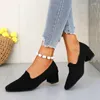 Kleidschuhe Temperament Dicker Absatz Einzelne Damen High Heels 2024 Vielseitig Spitzschuh Koreanischer Stil Flacher Mund