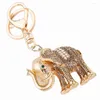 Keychains 5PCS Creative Exquisite Elephant Keychain Fashion Metal Trinkets Car Key Chain Ring For Women Bag Purse Charm Pendant Gift R130