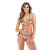 Kvinnors badkläder sexig tryckt triangelväska Micro Bikini 2024 Mujer Kvinnor Push Up Padded Brazilian Biquini Beach Pool Bathing Suit Thong