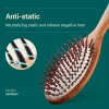 Tools Mr.green Hair Brush Nature Wooden Antistatic Detangle Brush Hair Scalp Massage Comb Air Cushion Styling Tools for Women Men