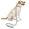 Collari per cani Guinzagli classici durevoli Medio grande Corda di piombo solida Moda Guinzaglio in rete nera Arrivi per allenamento a piedi all'aperto
