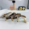 Wholesale Pet Collar Teddy/French Bulldog Shiba Inu Cat Presbyopic Classic Dog Collar Haulage Rope Package Factory Direct Sales