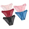 Damesslipje 2 stuks zijgesp mesh transparant voor vrouwen comfortabele naadloze slips sport lage taille sexy ondergoed lingerie