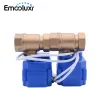 Detector Double Brass Valve DN15 DN20 DN25 Electric Cranes with 2 Wires(CR01) for Water Leakage Detection Alarm System WLD807