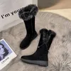 Stiefel Winter Damen Schnee 2024 Mode Warm Halten Plus Samt Kniehoch Für Frauen Casual Blockabsatz Plateauschuhe