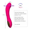 12 Geschwindigkeiten Wasserdichter Silikon-Dildo-Massage-Vibrator Klitoris und G-Punkt-Kaninchen-Sexspielzeug für Frauen