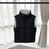 Gilet de sport pour hommes et femmes, veste ample en duvet d'oie haut de gamme de luxe authentique, veste à la mode et tendance Hqgri