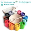 Giocattolo in legno Montessori per bambini Palla arcobaleno e tazze Giochi di smistamento dei colori Motricità fine Educazione precoce Giocattoli per l'apprendimento Regali per bambini 240223