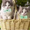 Collari per cani St Patrick's Day Wow callo