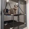 Scratchers Pet Hammock Cat Hanging Bed Single Double Layer Window Wall Mounted Suction Cup Hanging Bed Hammock Stöd upp till 30 kg