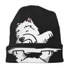 Basker Westie Bonnet Hats roliga Dabbing West Highland White Terrier Dog Sticking Hat Unisex Y2K Cool Warme Beanie Spring Kpop Caps