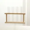 Nordic minimalistyczna drewniana rama hydroponiczna pojemnik na pulpit Test Test Test Transpirana szklana dekoracja domu