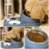 Supplies Pet Dog Automatic Water Water Fhey