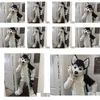 Талисман Ew Furry White Wolf Husky Dog Костюмы Реквизит для фильмов Показать Хэллоуин День рождения Открытый мероприятие Прямая доставка Одежда Dhrev