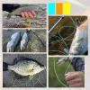 Linien Angler Dream Fly Fishing Accessoires 8 Pack geschweißt, verjüngter Fliegenfischereistrom Anführer mit Loop -Nylonmaterial für die Angelrute