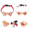 Hundhalsar 2 datorer Pet Collar Cat Supplies Bow Chain Neck Decor Past Plastic For Dogs Halsband