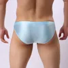 Sous-vêtements WOXUAN Marque Sexy Hommes Nylon Sans couture Bulge Poche Slips Sous-vêtements Gay Mâle Soie Slips Bikinis Culottes