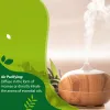 Gear Phatoil 1000 ml Vanille Pure Plantaardige Essentiële Oliën voor Luchtbevochtiger Geurverspreider Parfum Massage Spa Badparfum met Druppelaars