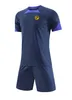 BSC Young Boys Bern Crianças e adultos roupas esportivas de verão tecido de malha respirável de manga curta camisa esportiva de lazer ao ar livre