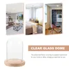 Storage Bottles Dust Cover Eternal Flower Glass Transparent Micro Landscape Display Desktop Ornament (8 12 Column Log Flat Bottom) Clear