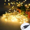 Dizeler 1pcs 5m 10m USB LED String Lights 50/100leds Gümüş Tel Peri Çelenk Yıl için Düğün Noel Tatili Ev Dekorasyonu