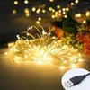 Strings 1PCS 5M 10M USB LED Light