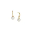 デジーナーデビッドYurma Jewelry Dy Pearl Studded Ring shaped Solari Earrings Trendy Button Thread FashionDavid