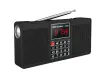 Radio Eonko L528 Radio stéréo multi-fonctions avec Bluetooth TF USB FM AM AUX Handsfree Recorder Recorder ALARME CLOCK TYPE C