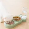 Malzemeler Yaratıcı antitipping Pet Bowl Otomatik besleyici köpek maması kase ile su çeşmesi çift kedi kase içme yükseltilmiş stant çanağı