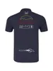 2024新しいF1シャツフォーミュラ1チームユニフォームトップファンSMMERクイック通気性メンズシャツジャージーカジュアルレーシングロゴワークウェアカスタム