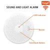 Detector 2PCS Smart CO Carbon Monoxide Smoke Detector Photoelectric Sensor AA Replaceable Battery Powered WiFi Tuya Smart Life Control