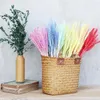 Flores decorativas coloridas gavillas de trigo secas, ramo de tallos para el hogar, espiga de grano Natural, manojo de hierba seca, arreglos DIY