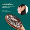 Tools Mr.green Hair Brush Nature Wooden Antistatic Detangle Brush Hair Scalp Massage Comb Air Cushion Styling Tools for Women Men